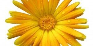 849793_73753454-forgive-forget-may-26-11-300x295