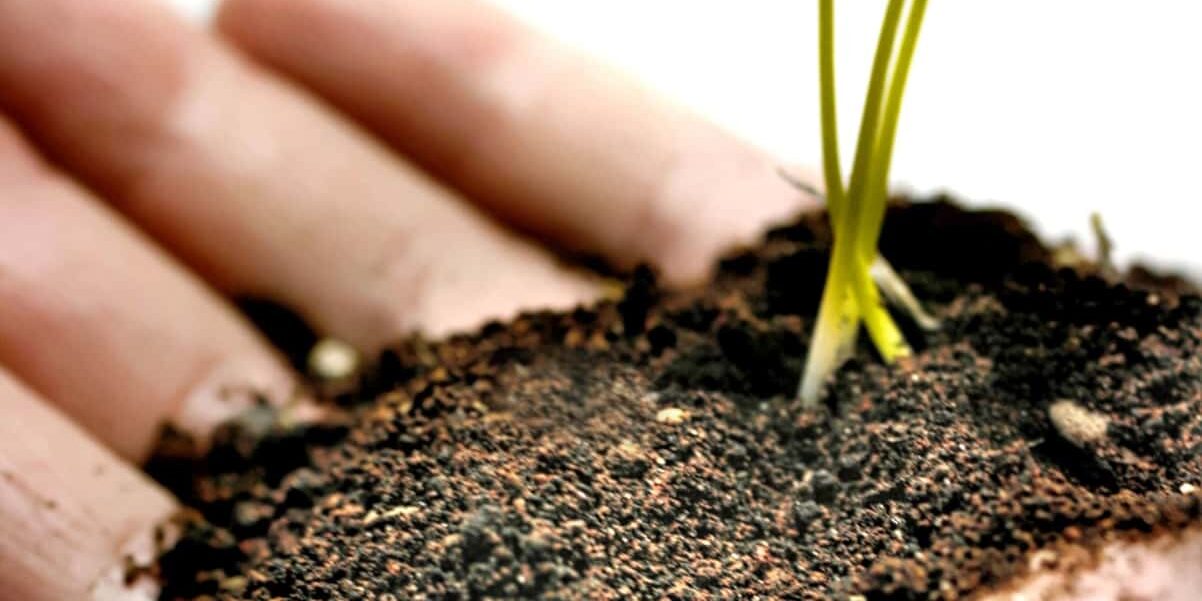 870593_58527003-what-things-to-grow-spiritually-sept-9-10