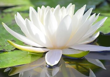 9_Sep_21_InnerPeace_Bermondsey