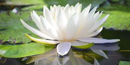 9_Sep_21_InnerPeace_Bermondsey