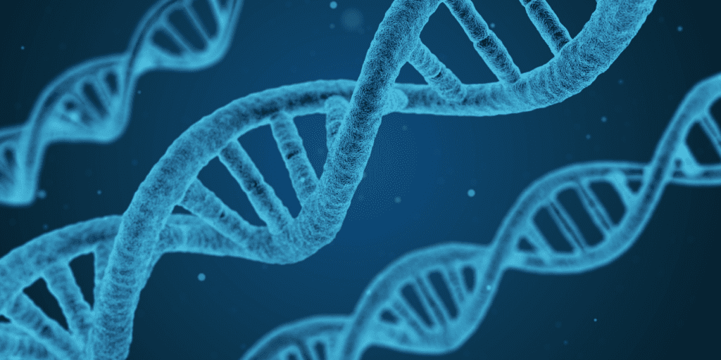 DNA of success