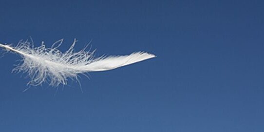 Day27_Feather