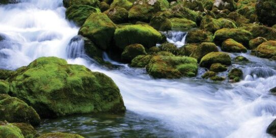 Day8_Stream
