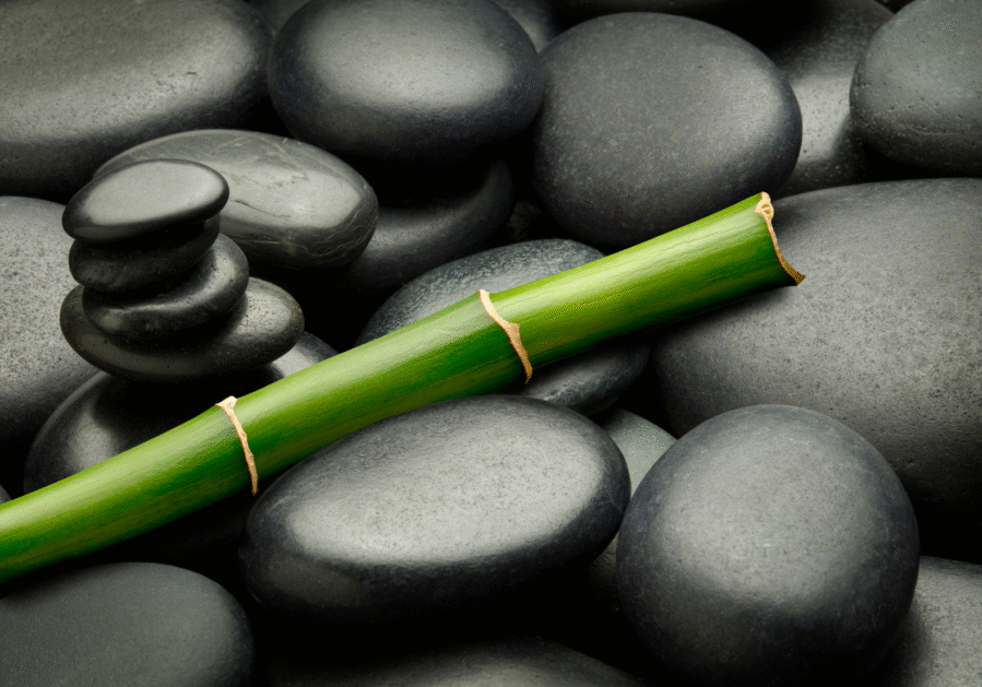 Feng Shui Your Life