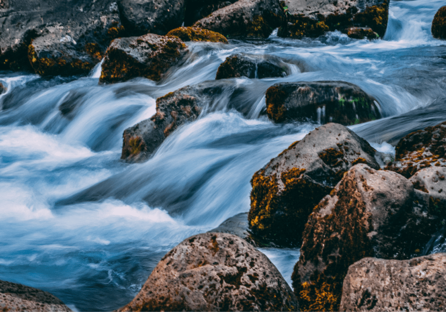 Go with the Flow
