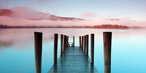 PTA_Peace_628X250