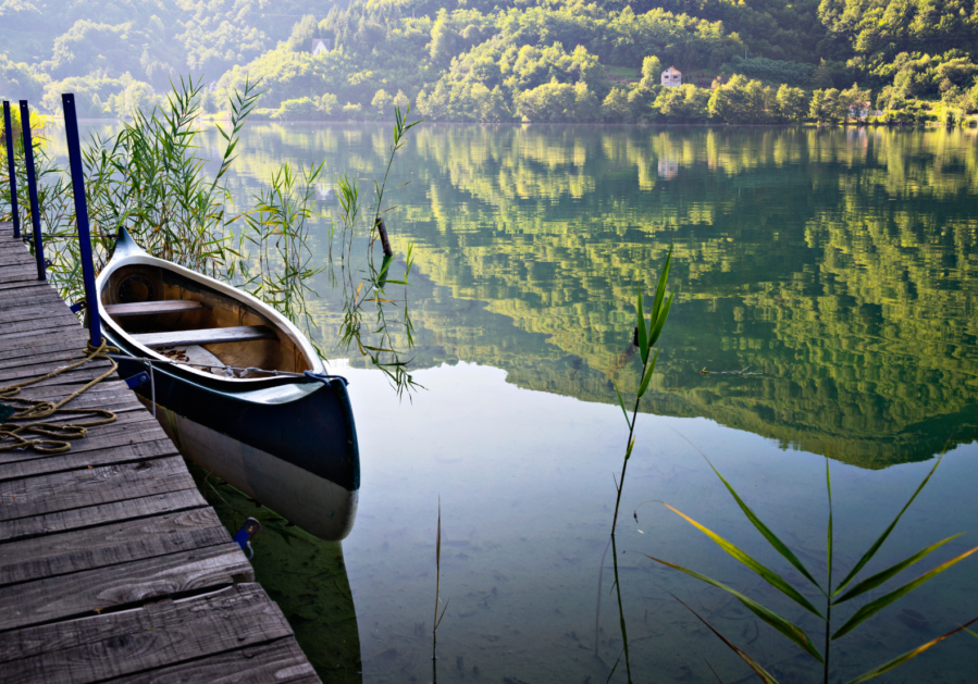 Reflection online