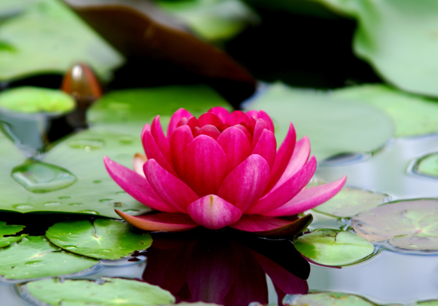Yoga for the Mind