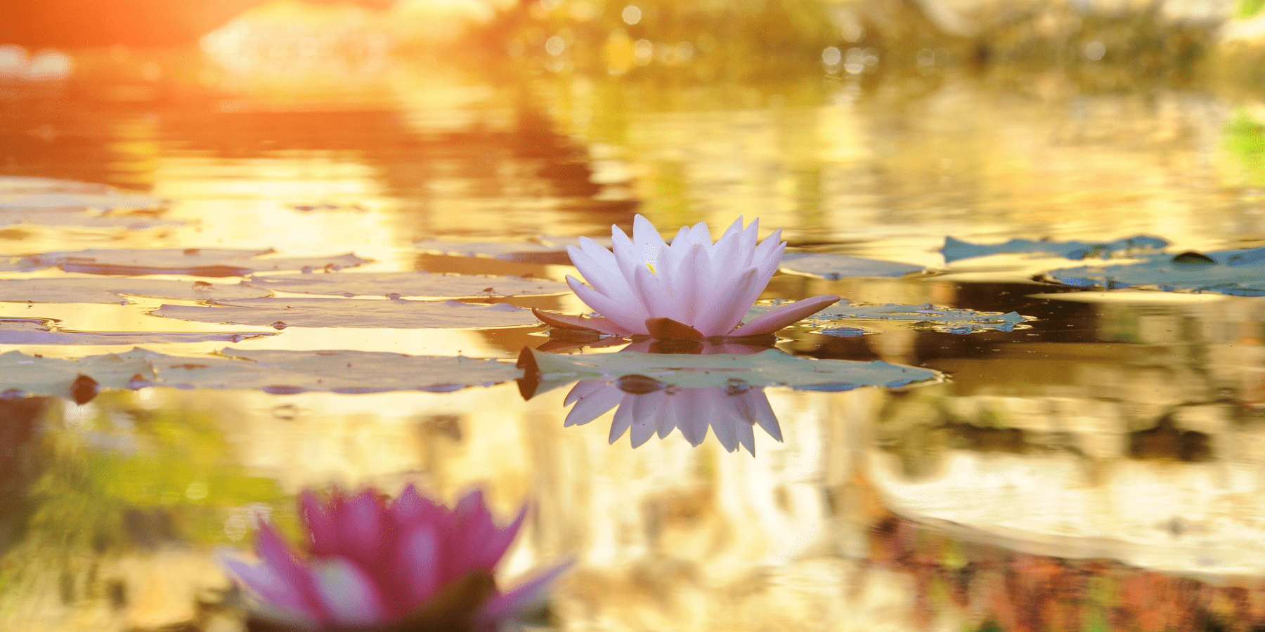 abundance