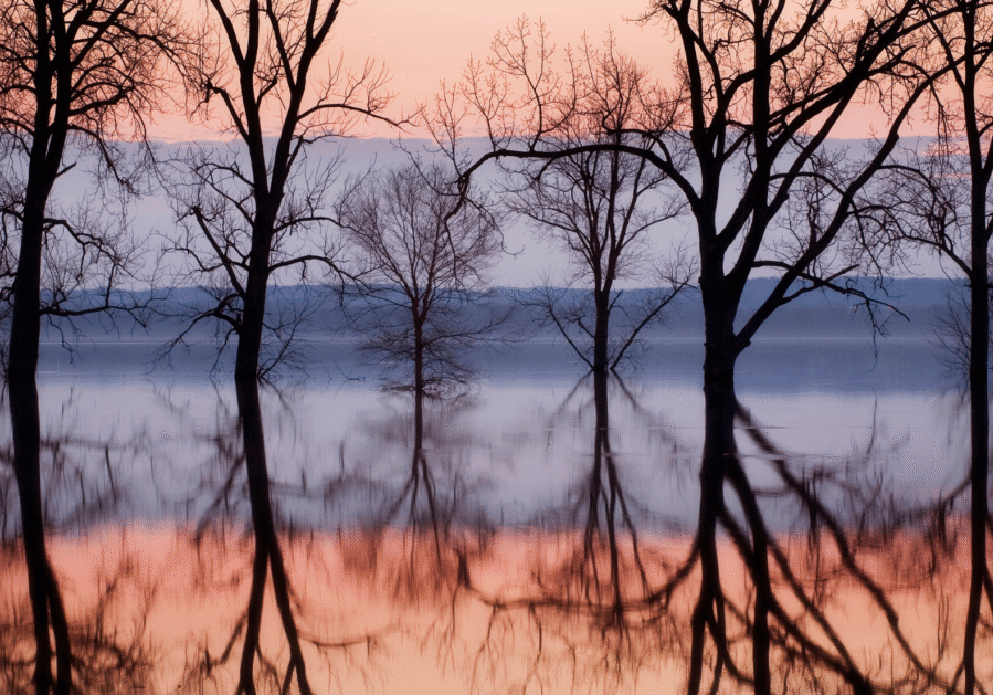 end of year reflection online