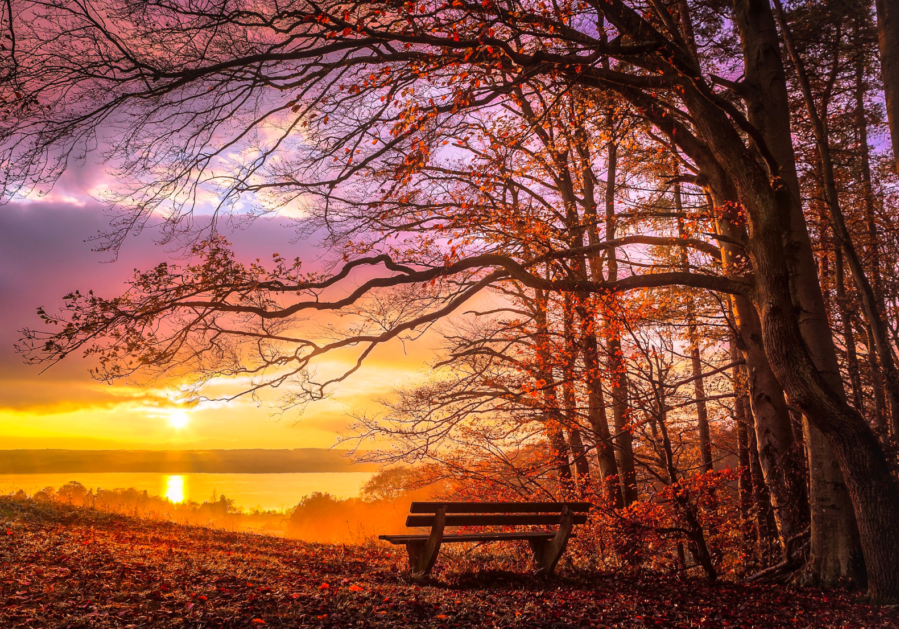 evening meditation in-person