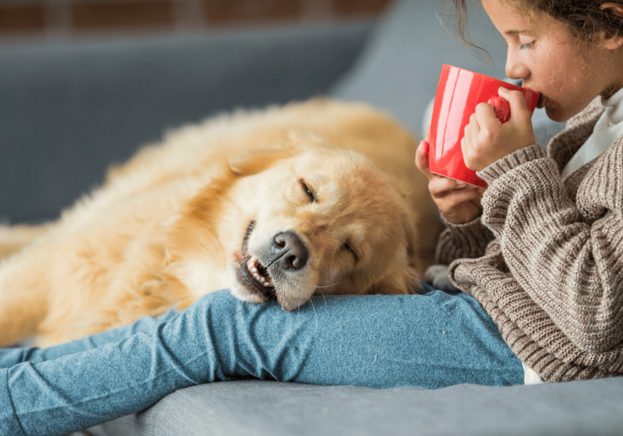 health and home
