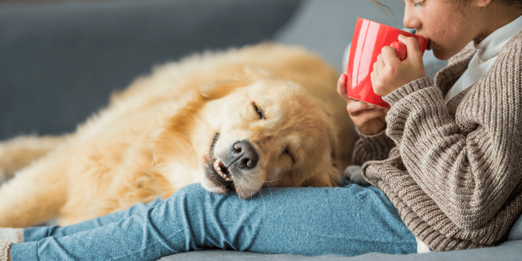health and home