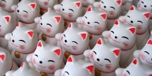 maneki-neko-1355757-m