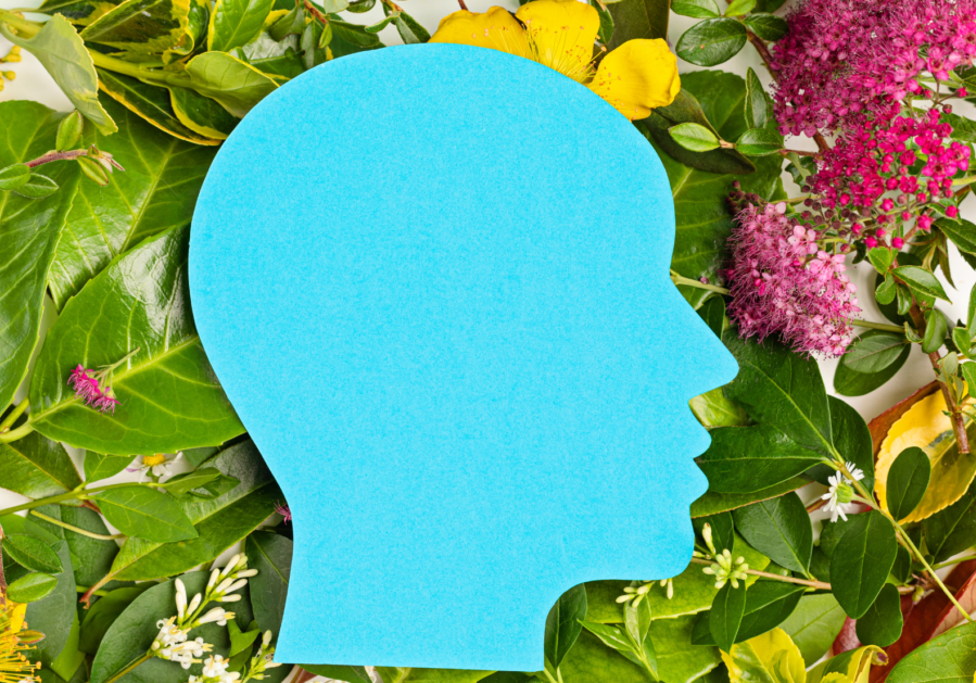 mental health_ip