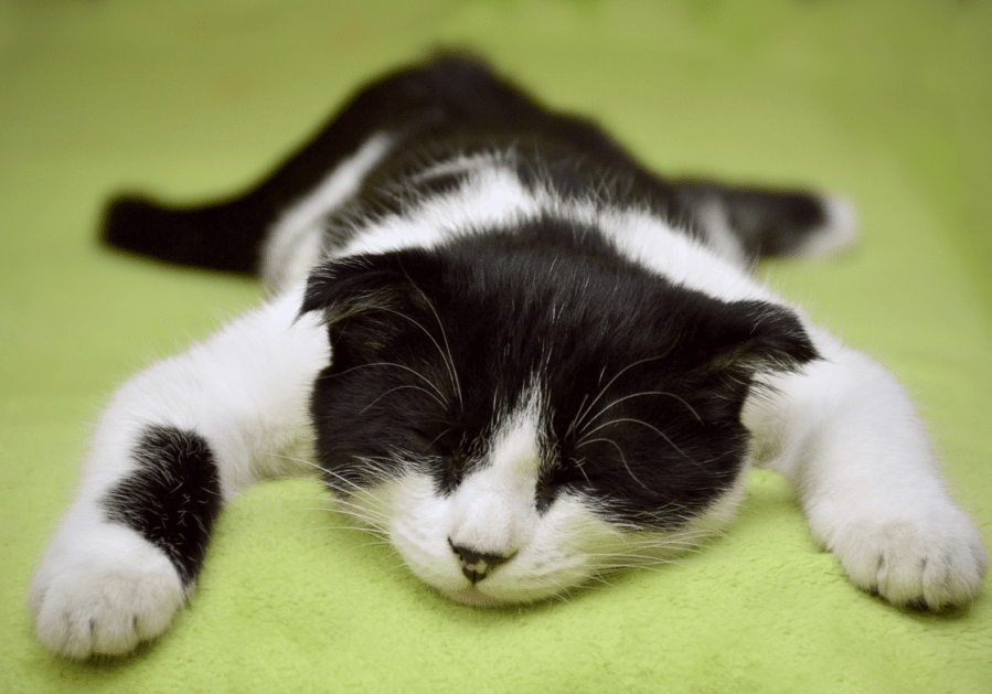sleep
