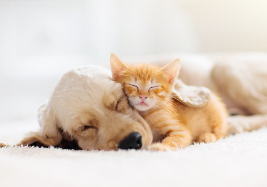 sleep
