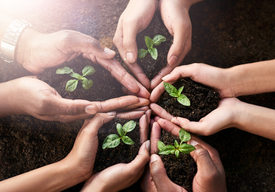 social impact