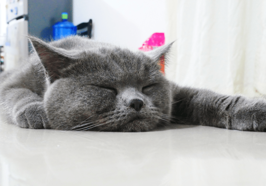 tired - web